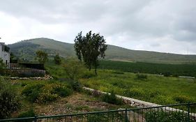 נוריות בגלבוע 1